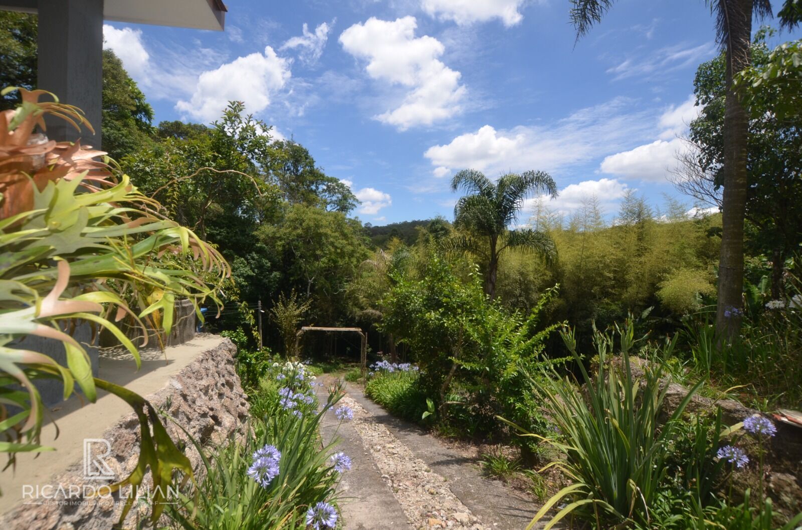 Chácara, 6 quartos, 4 hectares - Foto 27