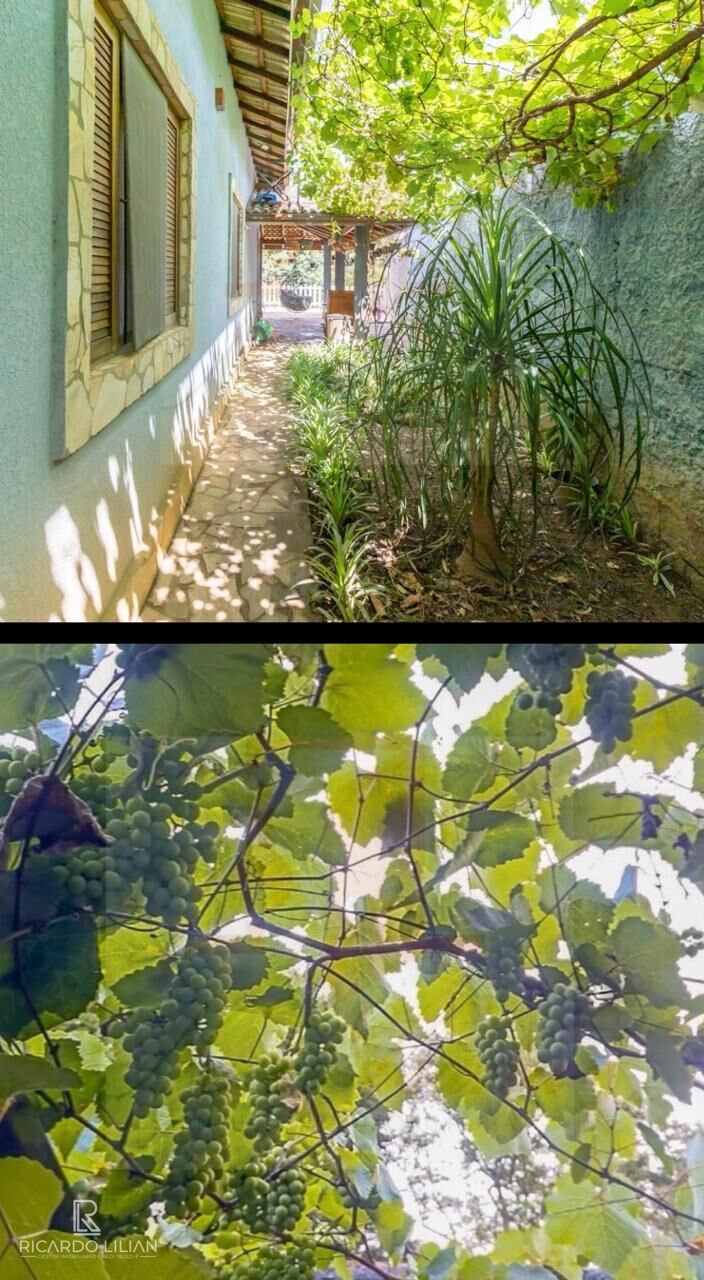 Chácara, 3 quartos, 1800 m² - Foto 13