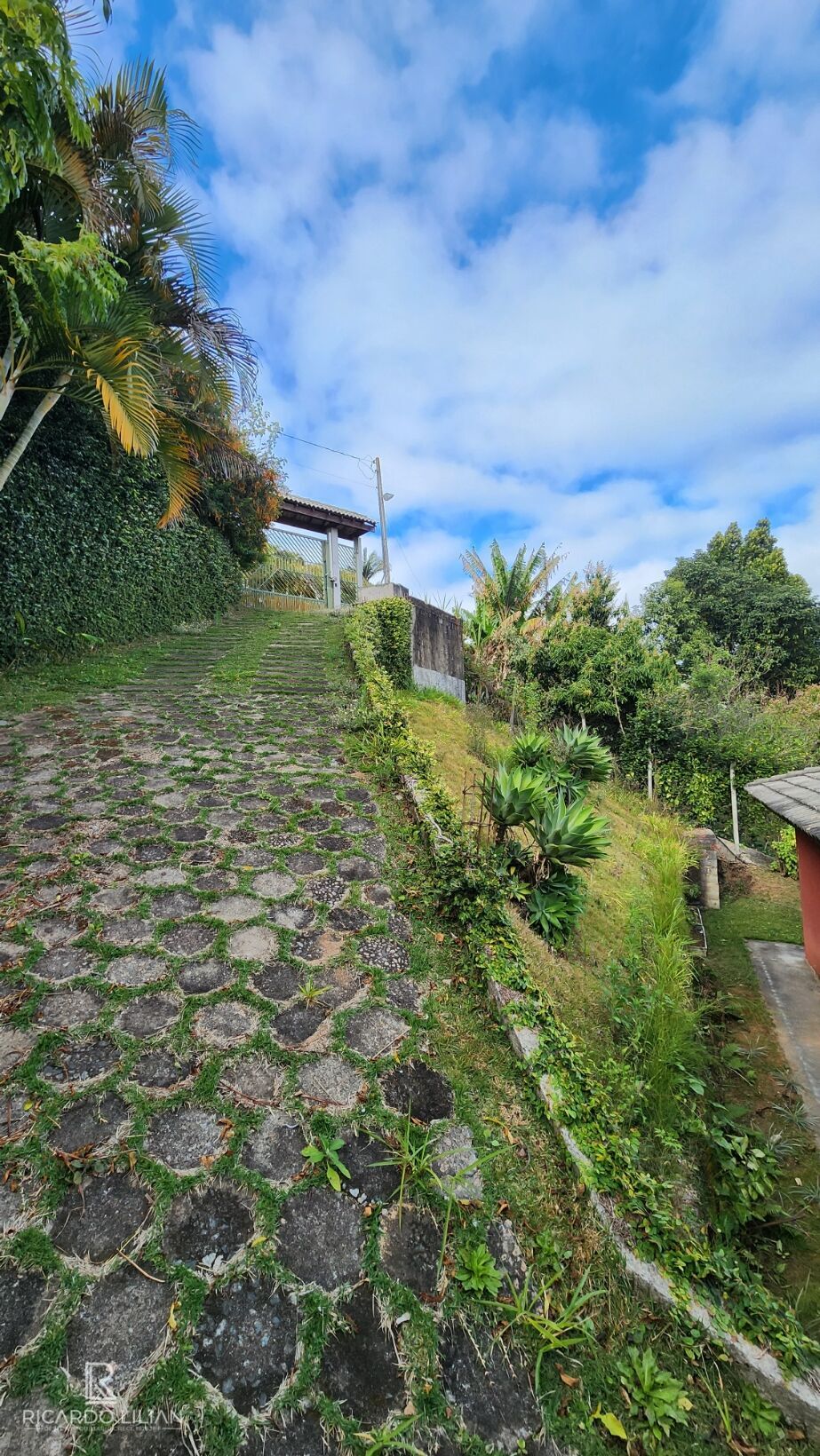 Chácara à venda com 4 quartos, 2000m² - Foto 4