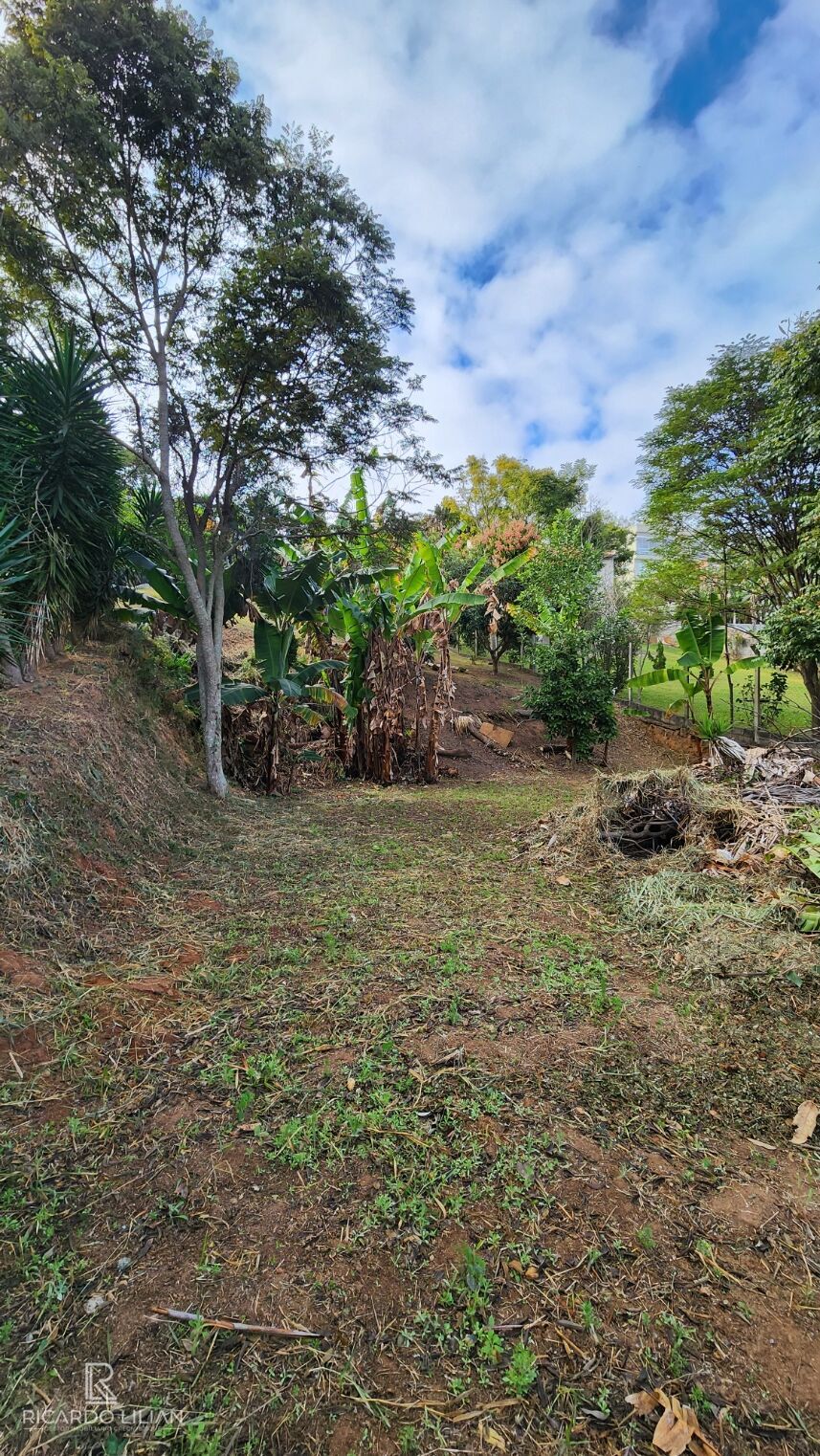 Chácara à venda com 4 quartos, 2000m² - Foto 16
