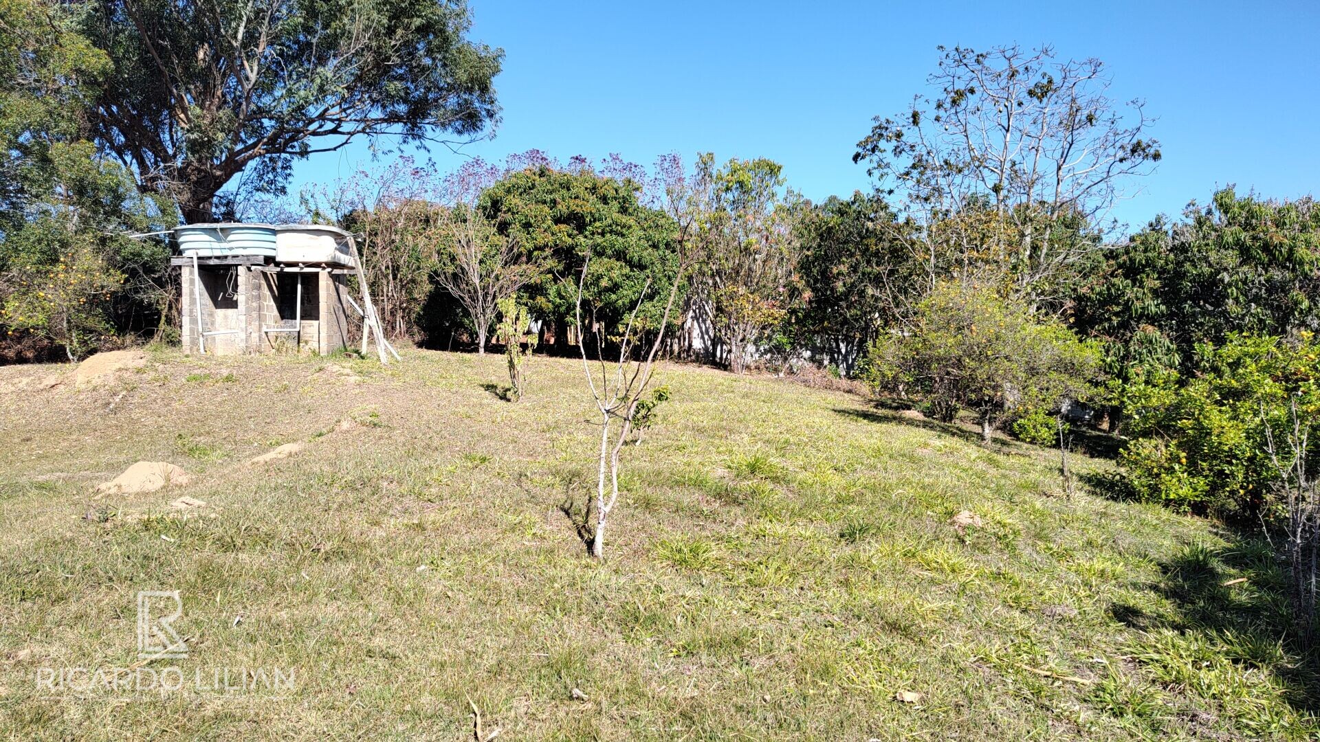 Fazenda à venda com 2 quartos, 22500m² - Foto 8