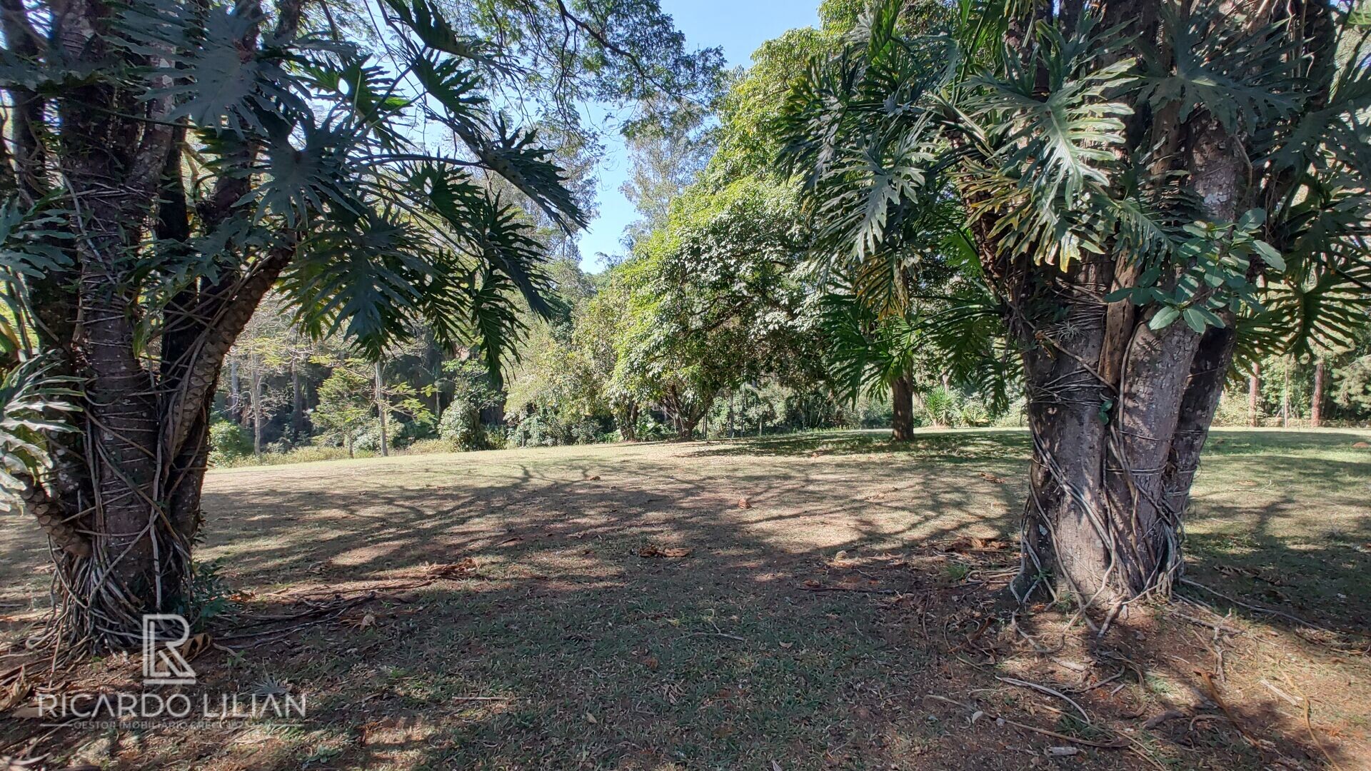 Fazenda à venda com 4 quartos, 68000m² - Foto 40