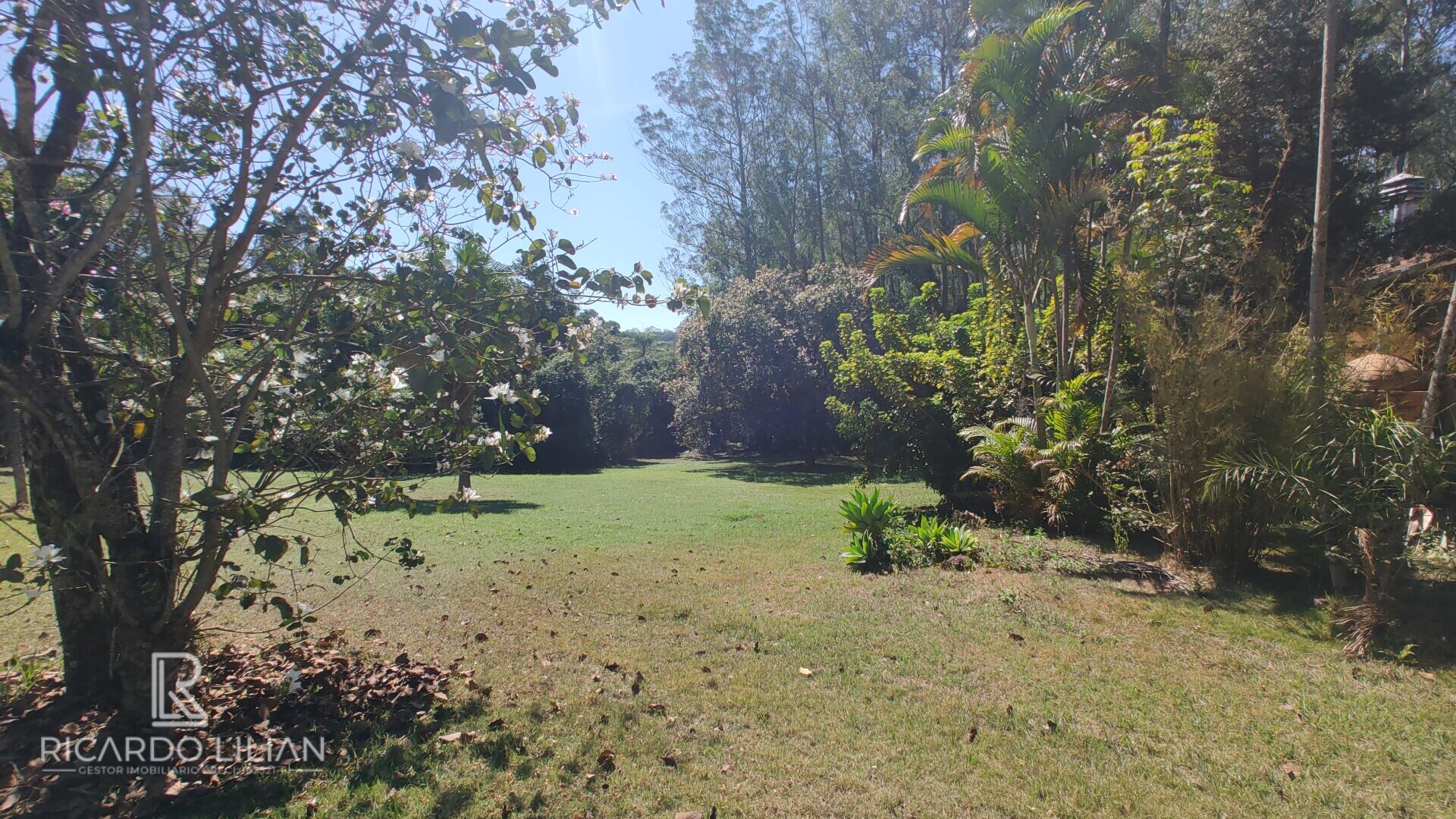 Fazenda à venda com 4 quartos, 68000m² - Foto 31