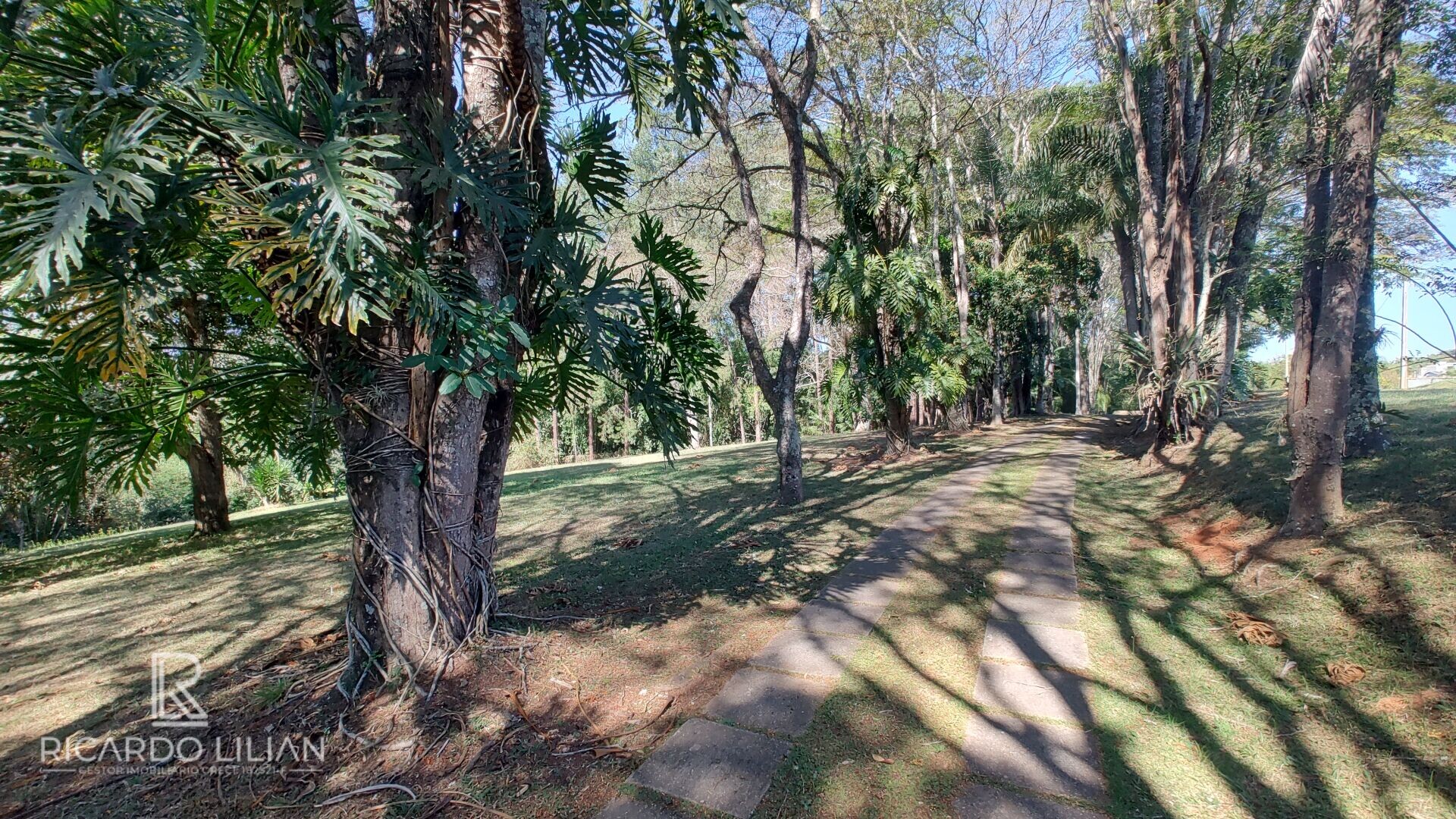 Fazenda à venda com 4 quartos, 68000m² - Foto 39