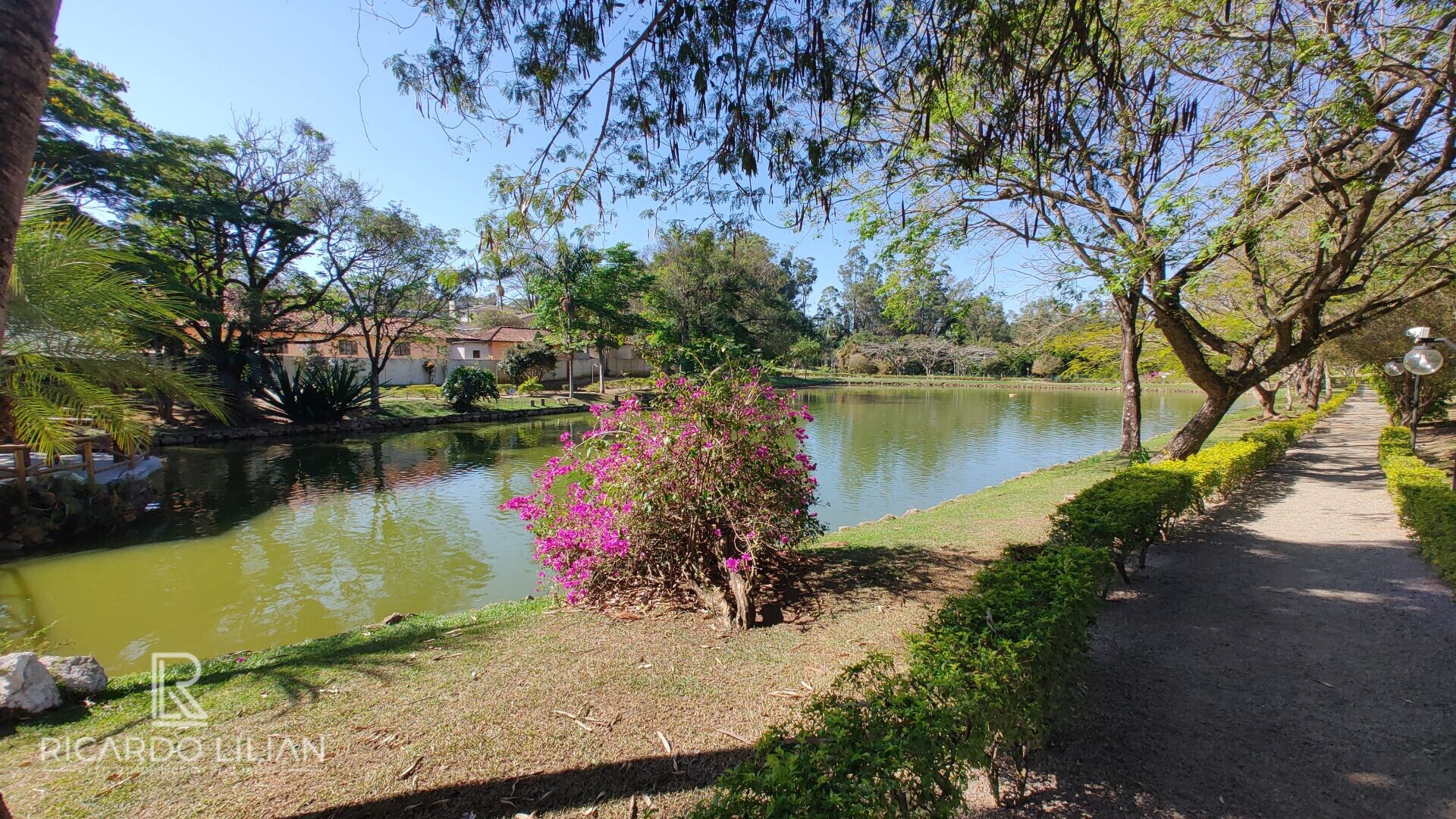 Fazenda à venda com 4 quartos, 68000m² - Foto 43