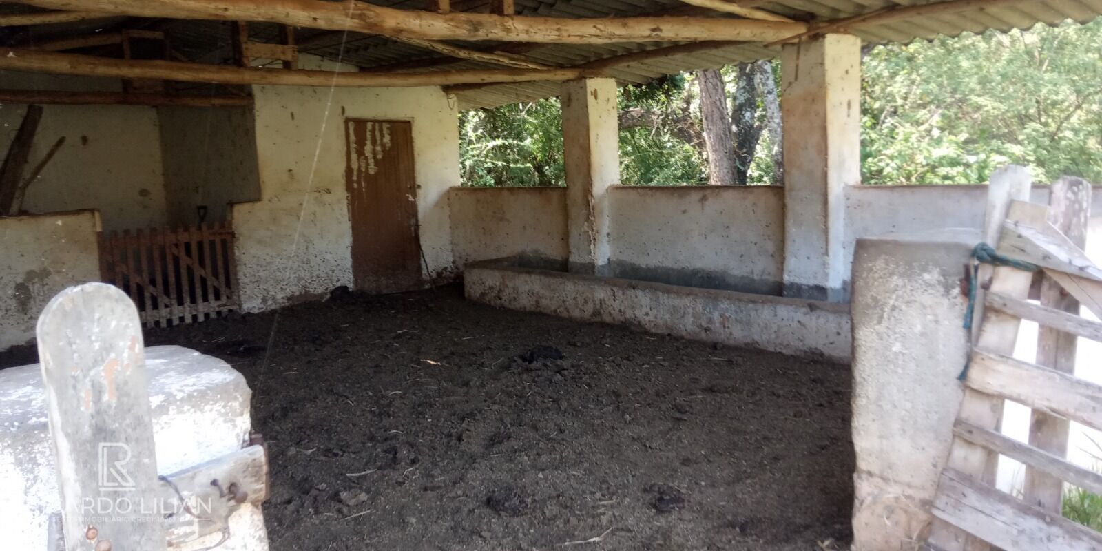 Terreno, 7 hectares - Foto 13