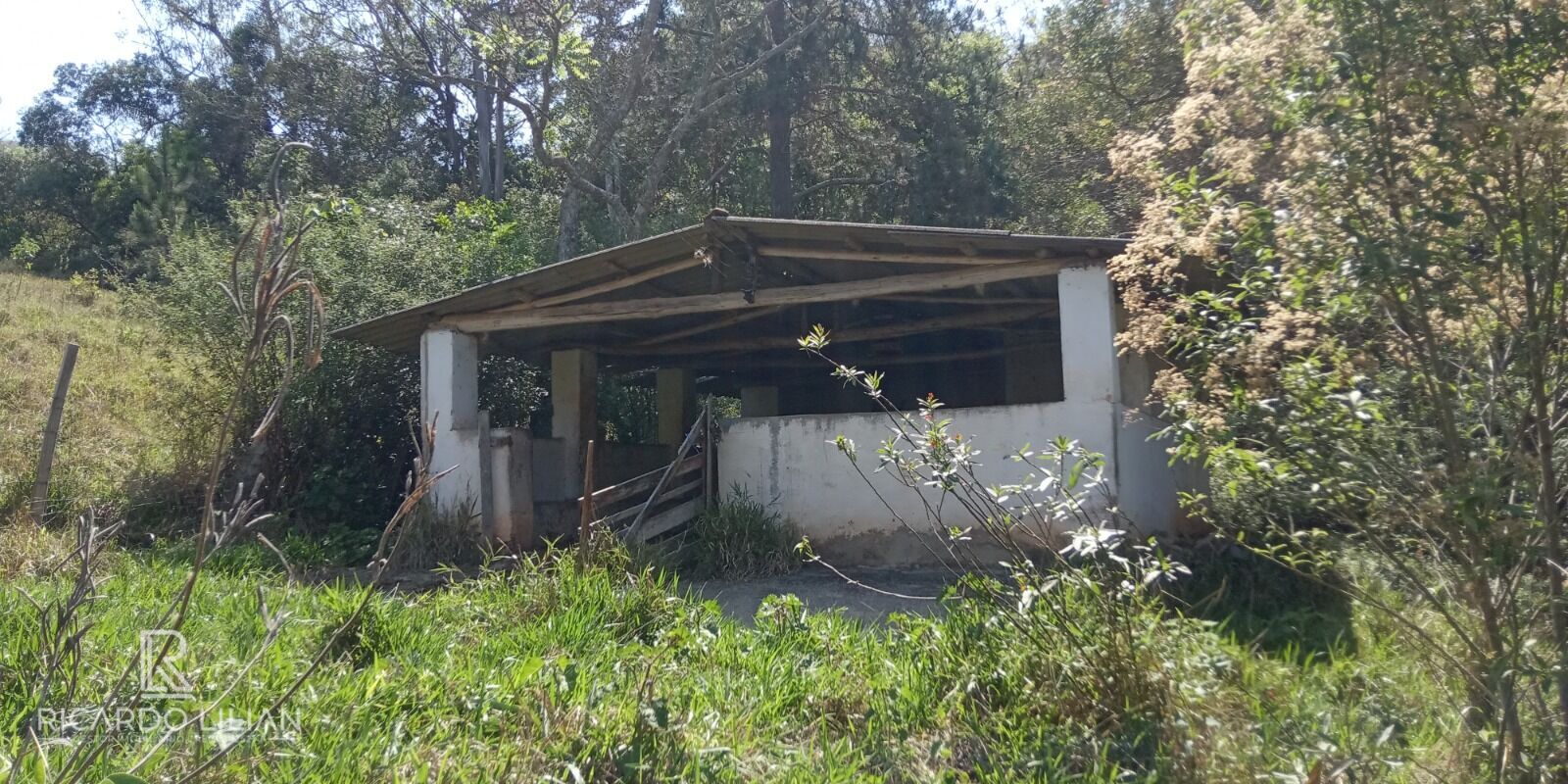 Terreno, 7 hectares - Foto 12