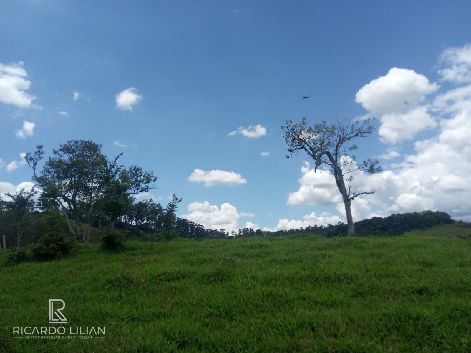 Terreno, 7 hectares - Foto 8