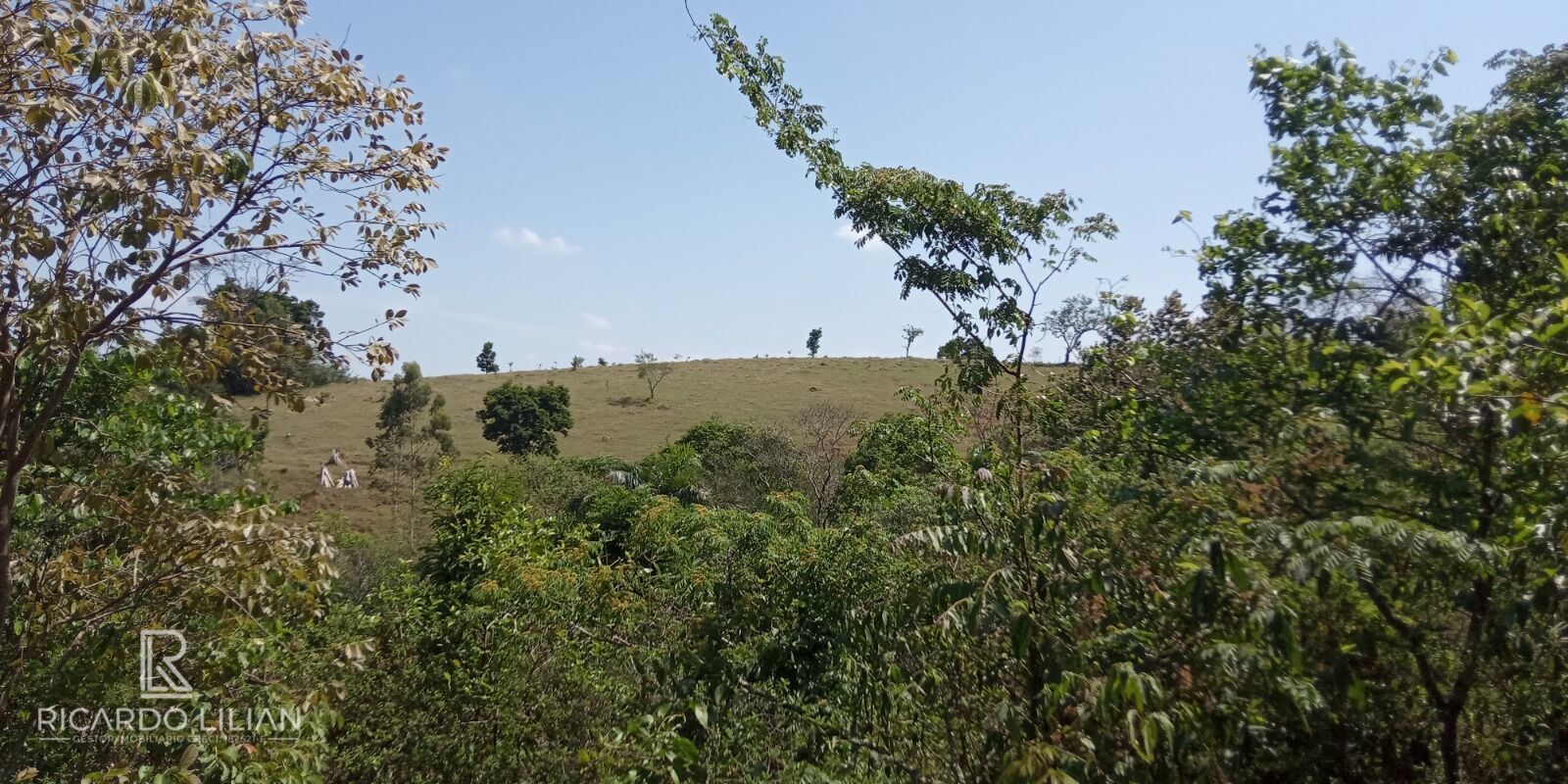 Terreno, 7 hectares - Foto 10