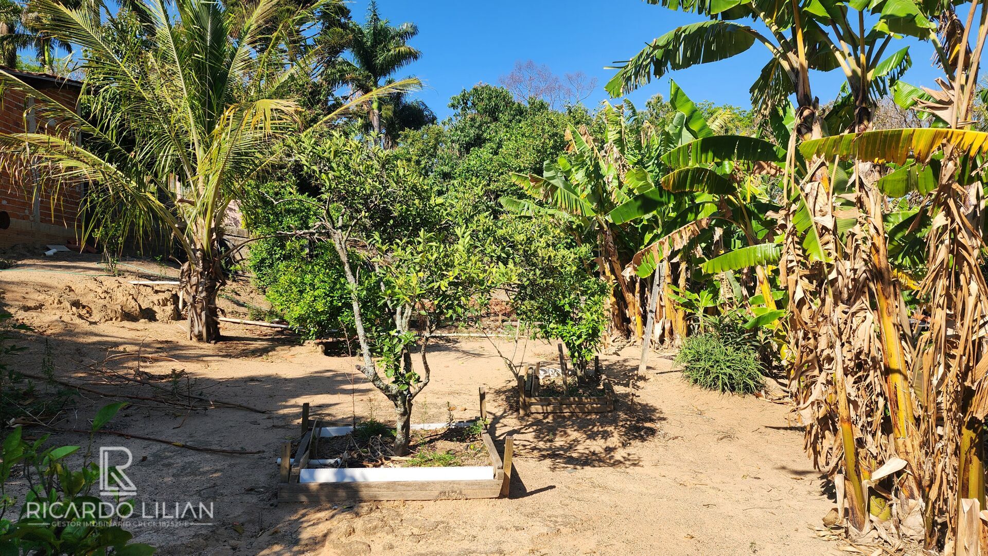 Chácara, 3 quartos, 1073 m² - Foto 43