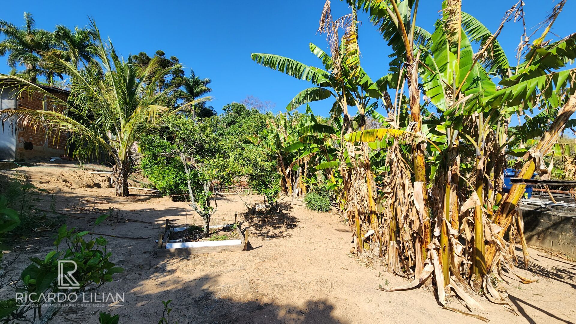 Chácara, 3 quartos, 1073 m² - Foto 44