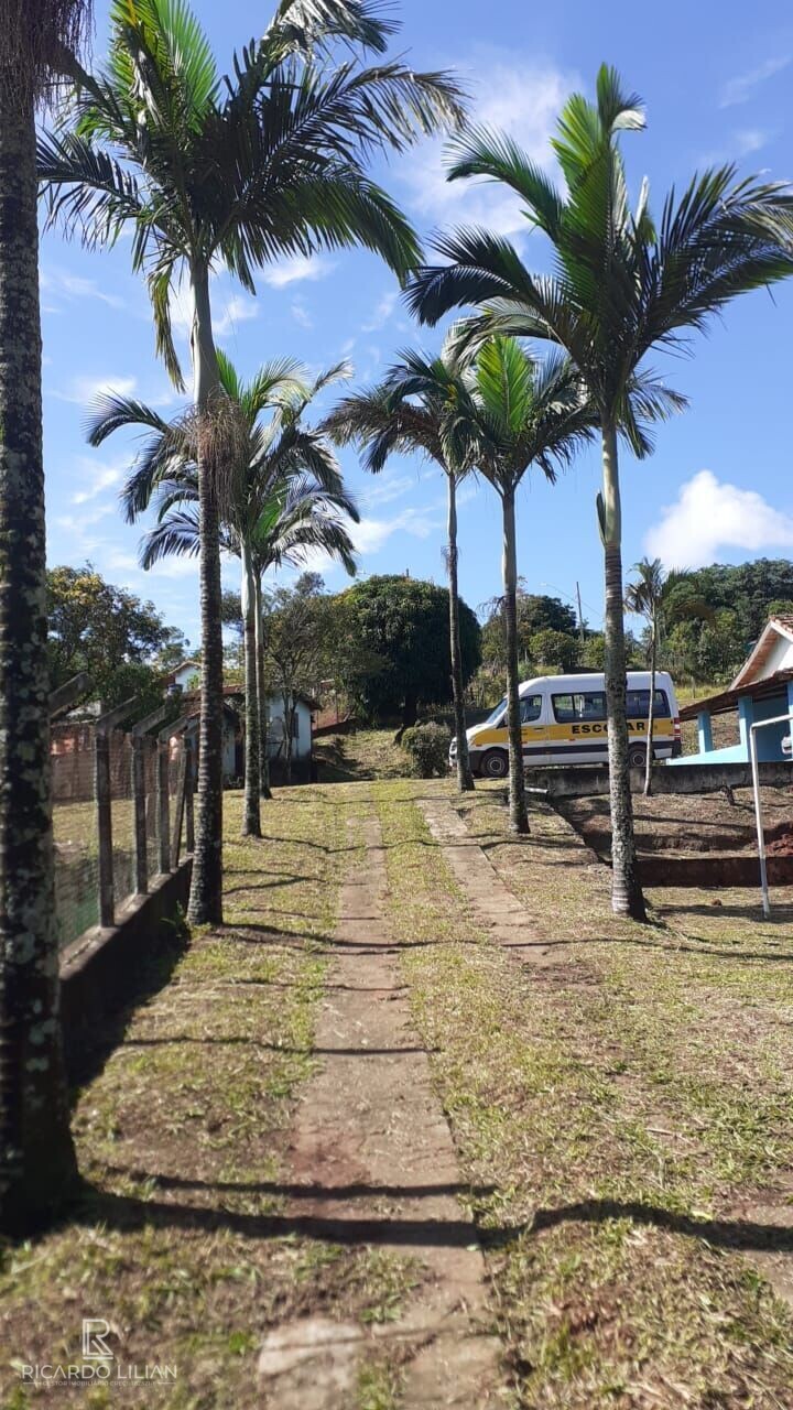 Fazenda à venda com 3 quartos, 3100m² - Foto 2