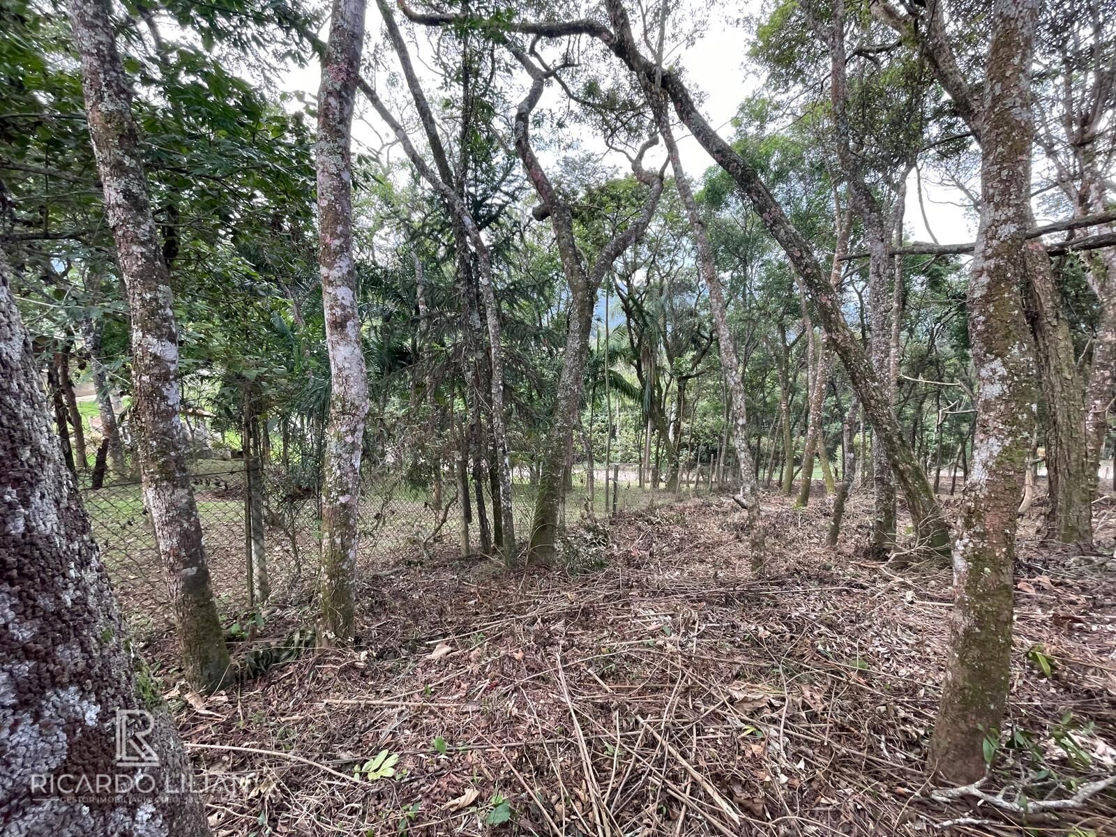 Terreno, 1222 m² - Foto 7