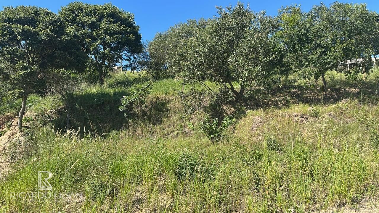 Terreno, 979 m² - Foto 4