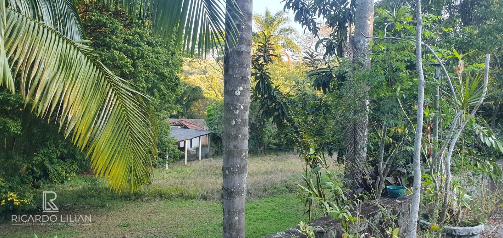 Fazenda à venda com 4 quartos, 7000m² - Foto 16