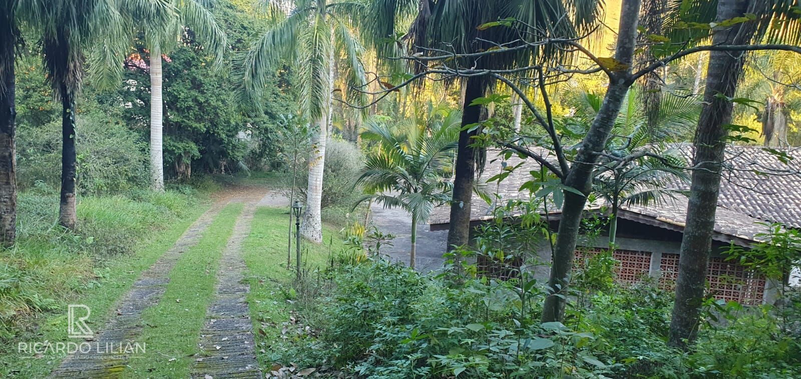 Fazenda à venda com 4 quartos, 7000m² - Foto 19