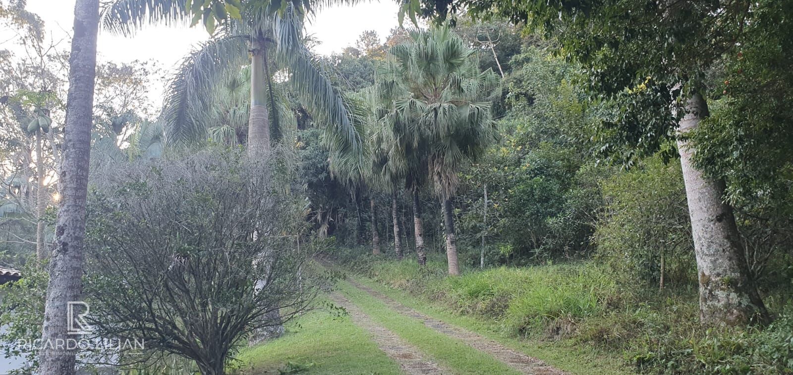 Fazenda à venda com 4 quartos, 7000m² - Foto 17