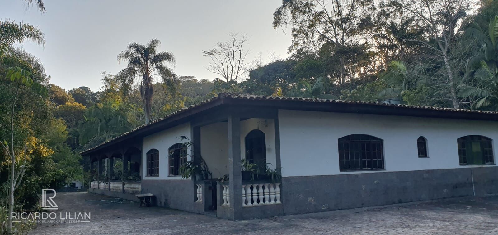 Fazenda à venda com 4 quartos, 7000m² - Foto 1