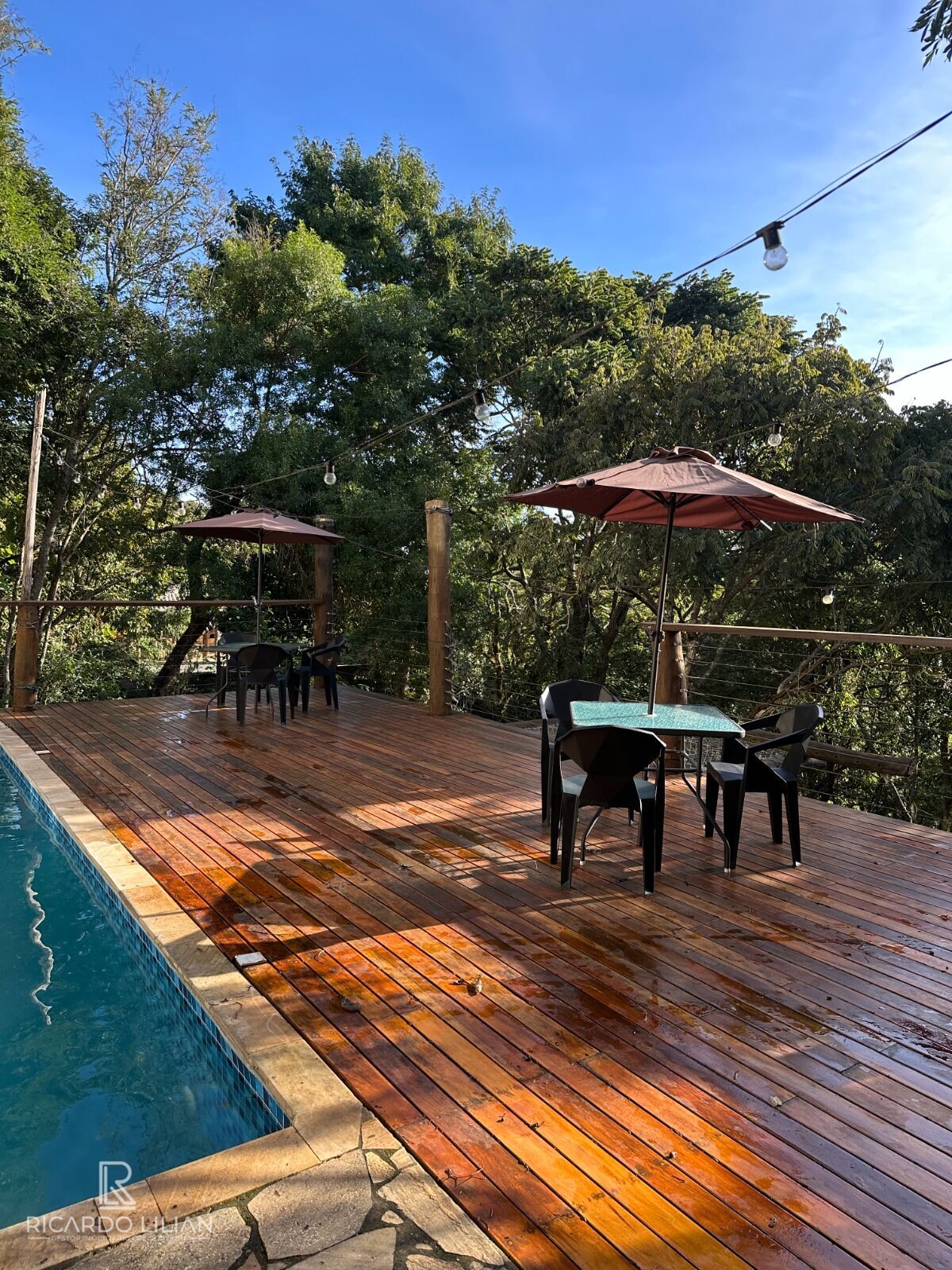 Chácara, 4 quartos, 1000 m² - Foto 3