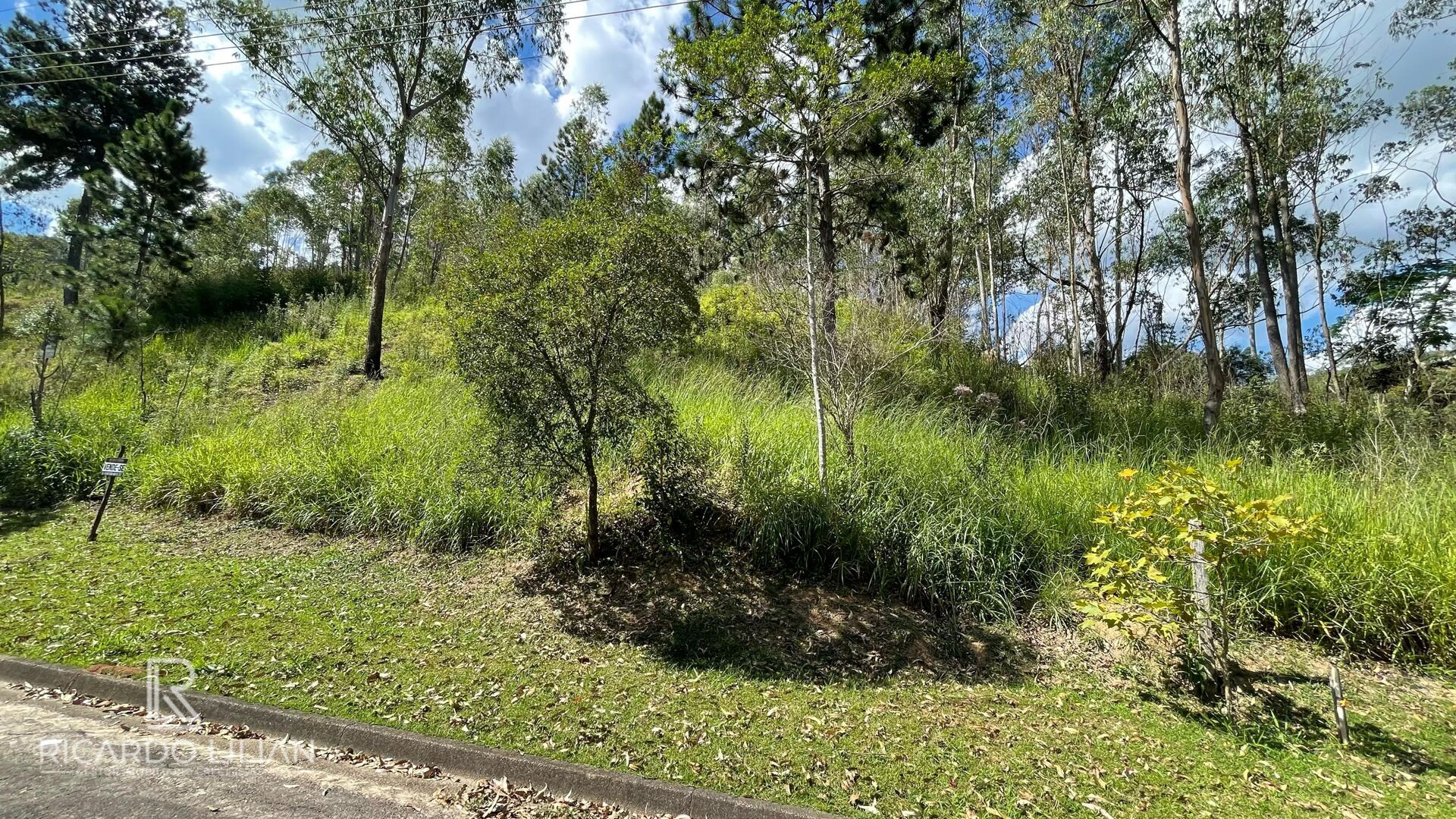 Terreno, 1232 m² - Foto 10
