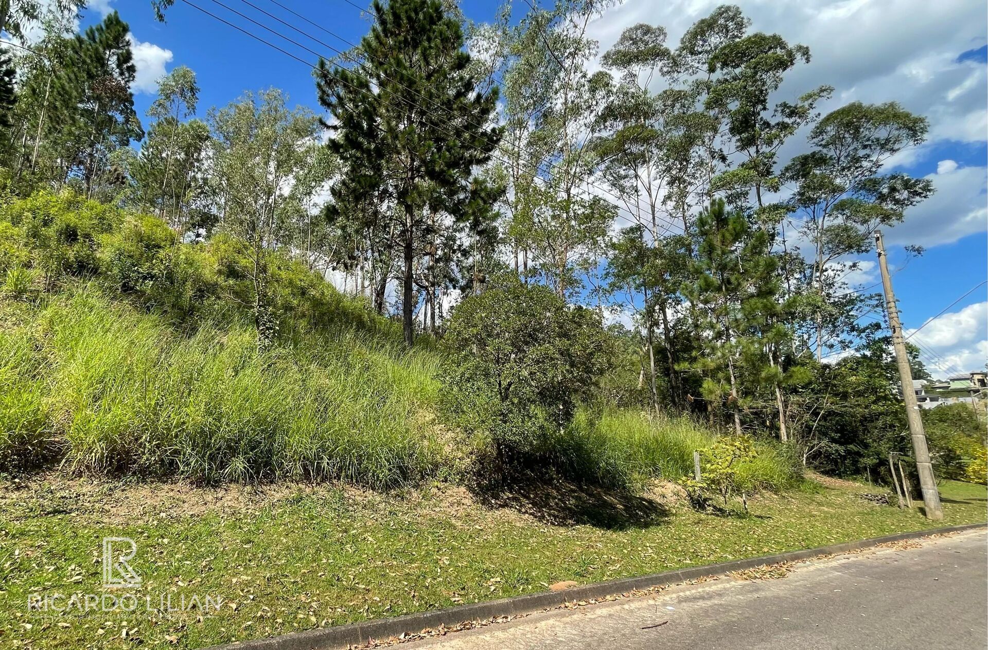 Terreno, 1232 m² - Foto 4