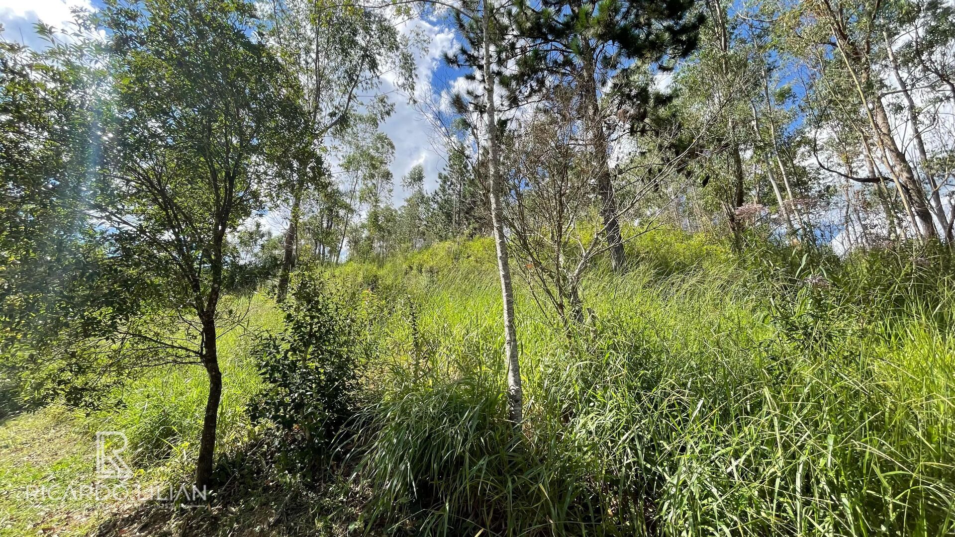 Terreno, 1232 m² - Foto 12