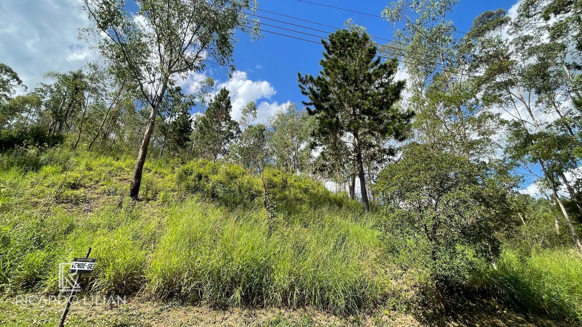Terreno, 1232 m² - Foto 13
