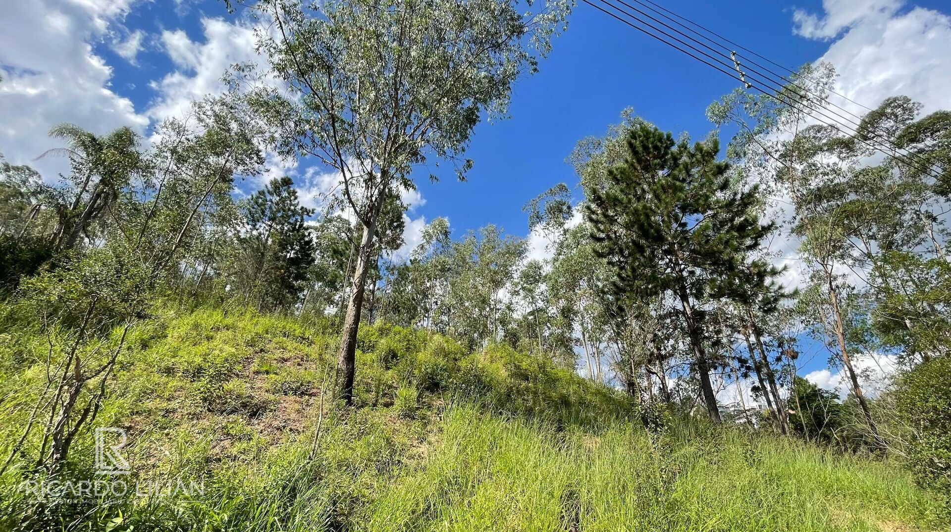 Terreno, 1232 m² - Foto 20