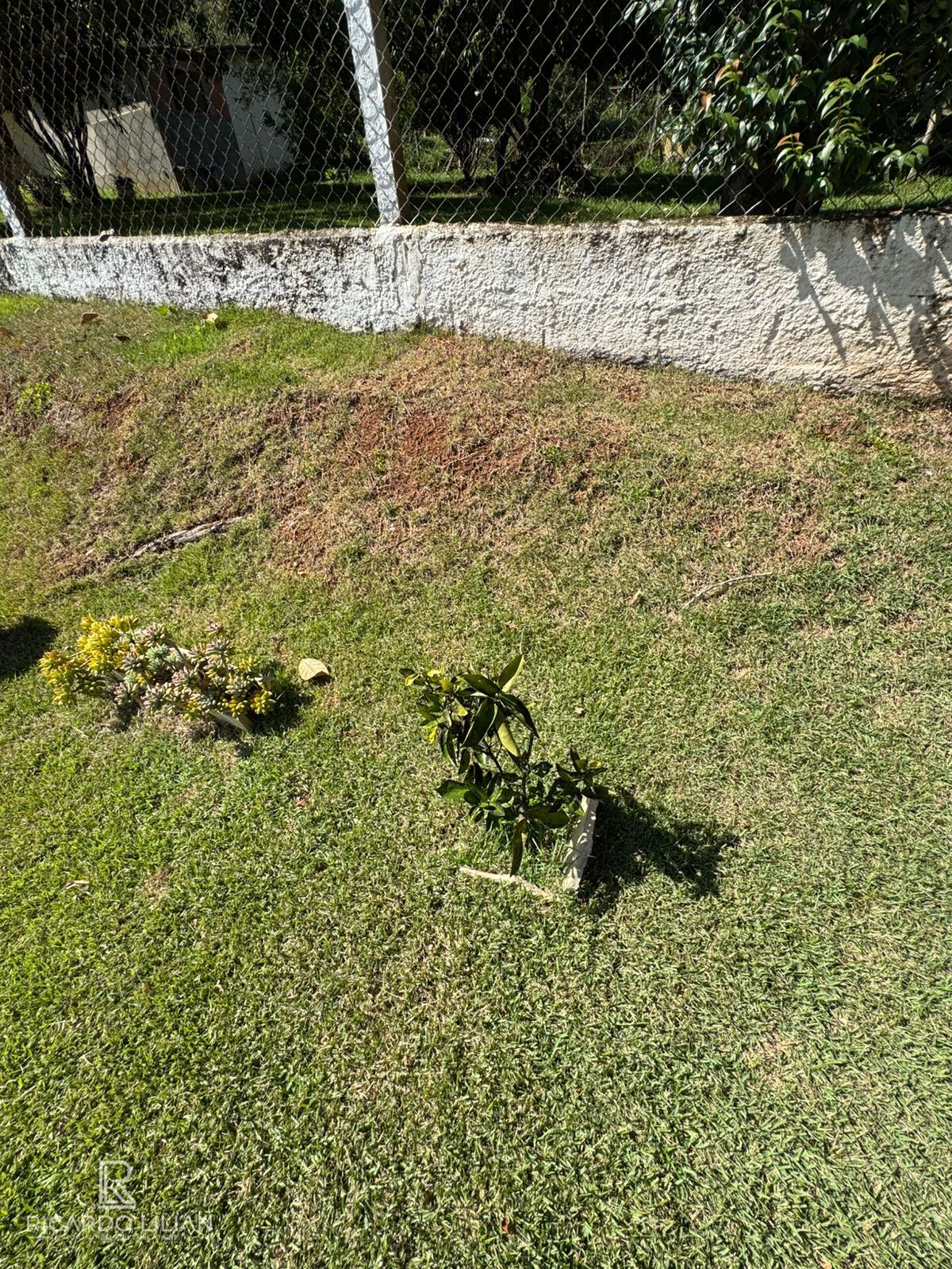 Chácara, 3 quartos, 1100 m² - Foto 12