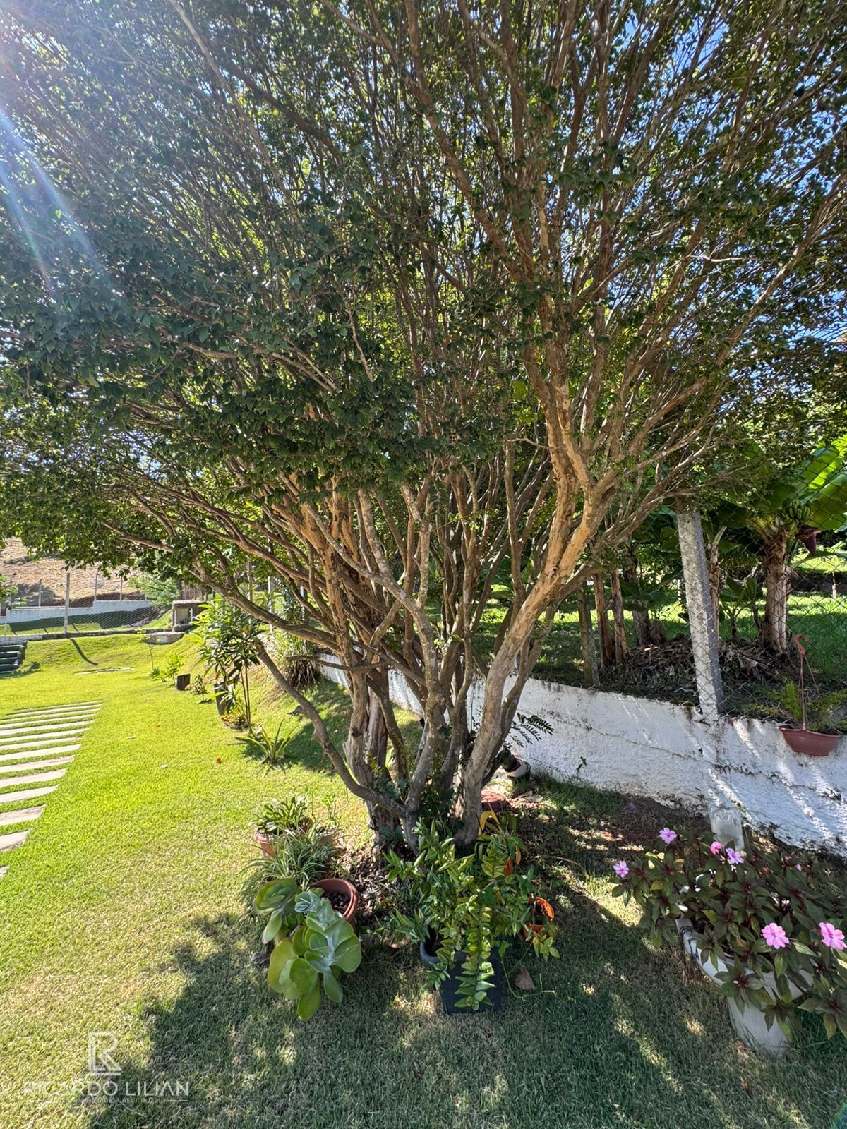 Chácara, 3 quartos, 1100 m² - Foto 10