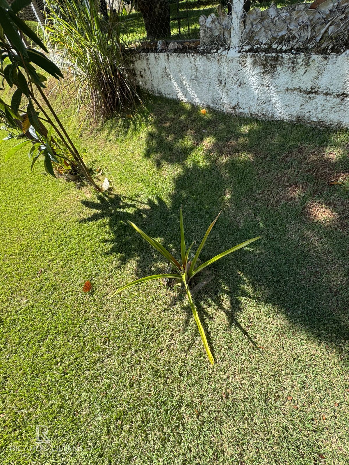 Chácara, 3 quartos, 1100 m² - Foto 14