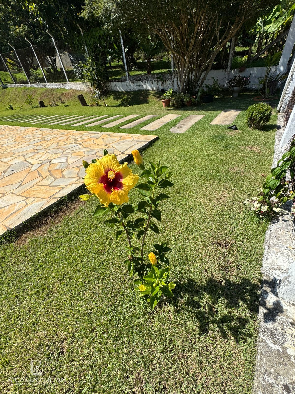 Chácara, 3 quartos, 1100 m² - Foto 9