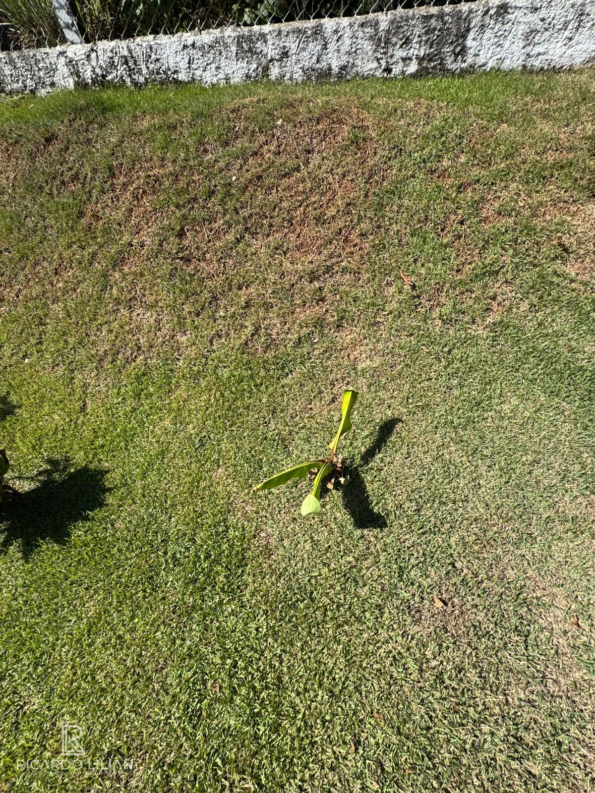 Chácara, 3 quartos, 1100 m² - Foto 11