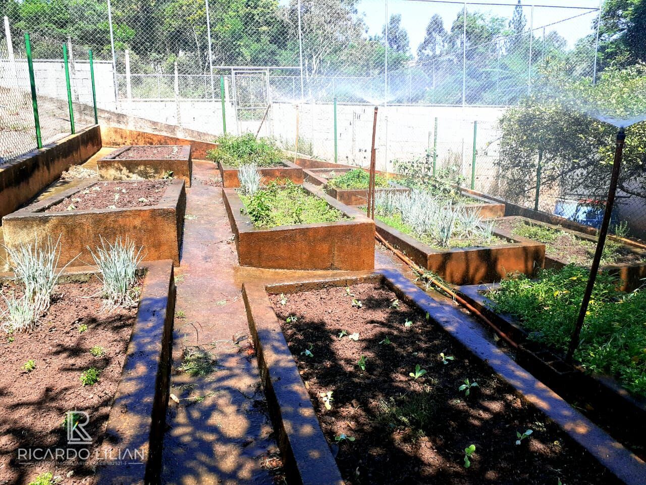 Terreno, 2640 m² - Foto 8