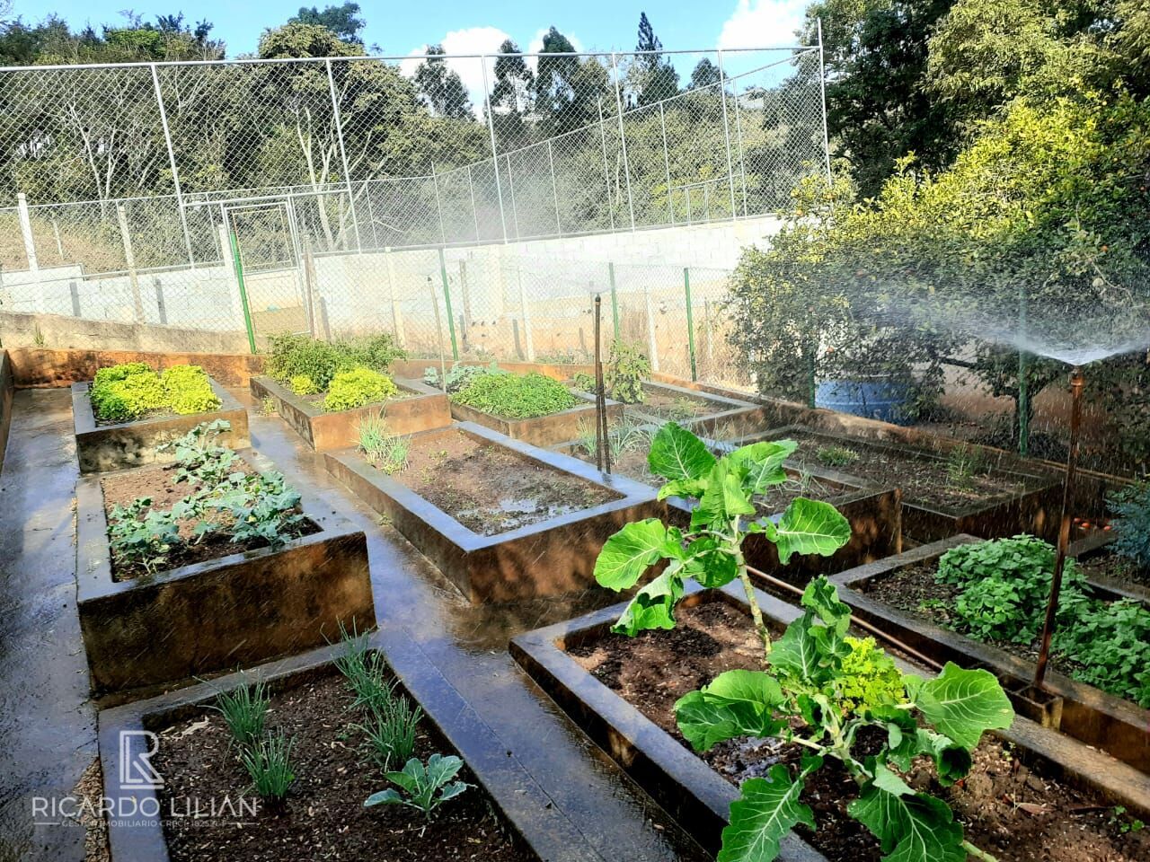 Terreno, 2640 m² - Foto 9
