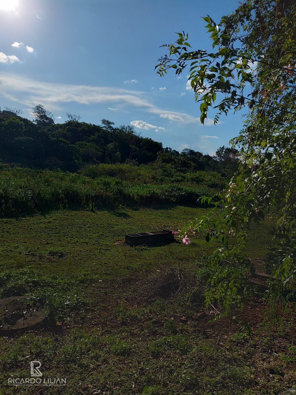 Chácara, 4 quartos, 1 hectares - Foto 29