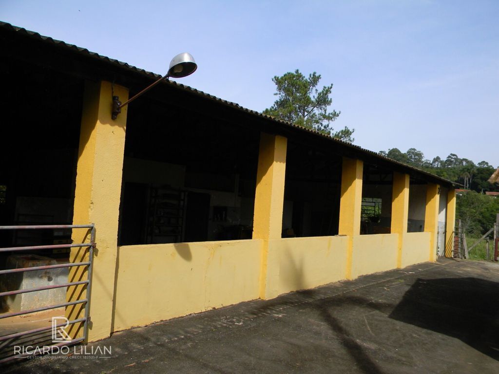 Chácara, 4 quartos, 1 hectares - Foto 19