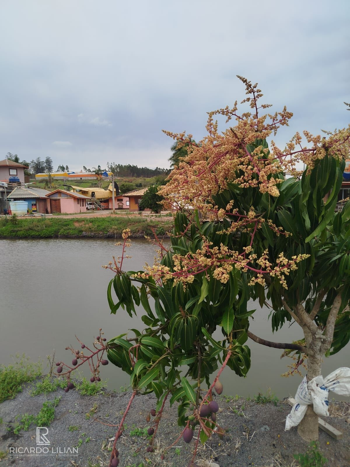 Chácara, 4 quartos, 1 hectares - Foto 13