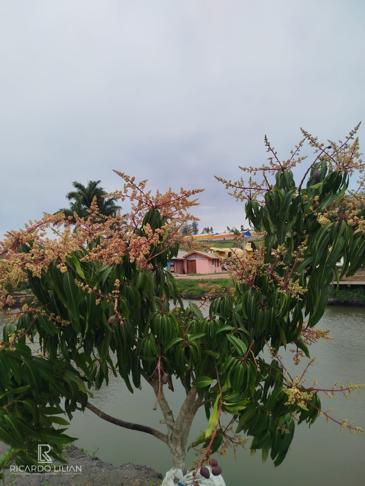 Chácara, 4 quartos, 1 hectares - Foto 27