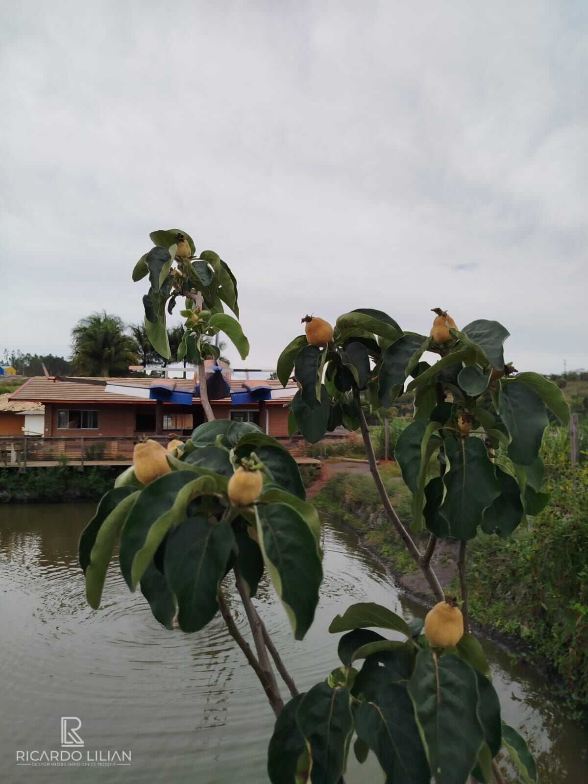 Chácara, 4 quartos, 1 hectares - Foto 12