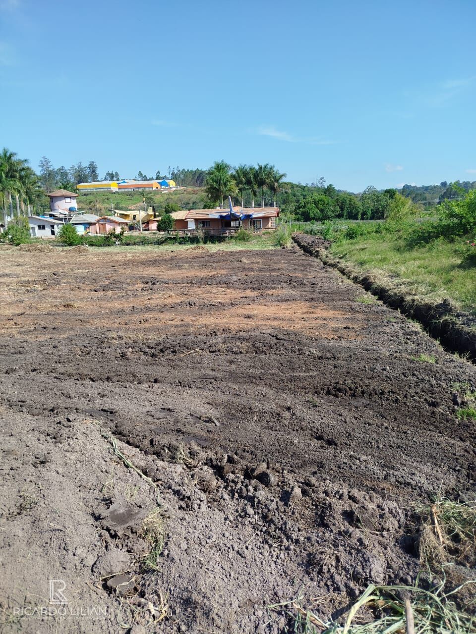 Chácara, 4 quartos, 1 hectares - Foto 23