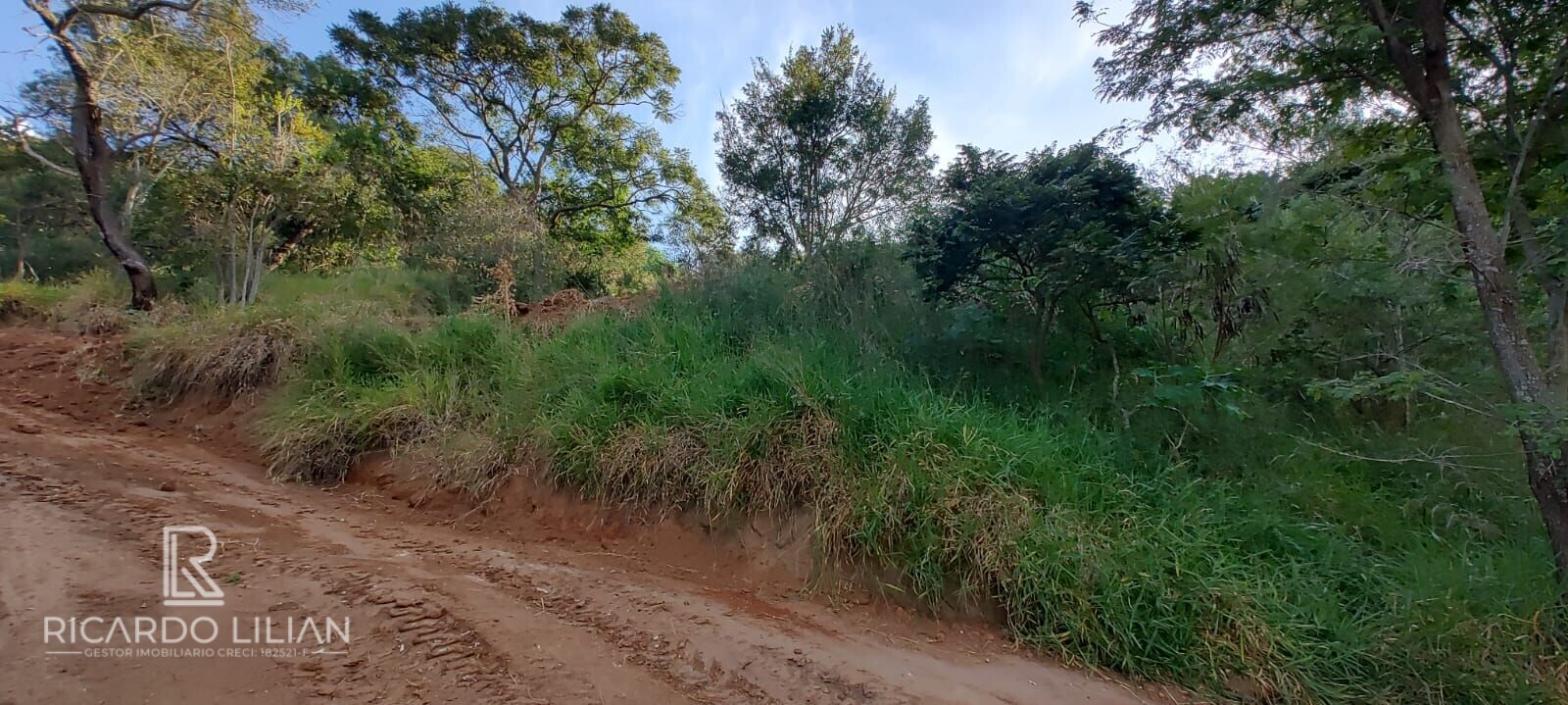 Terreno à venda, 8323m² - Foto 6