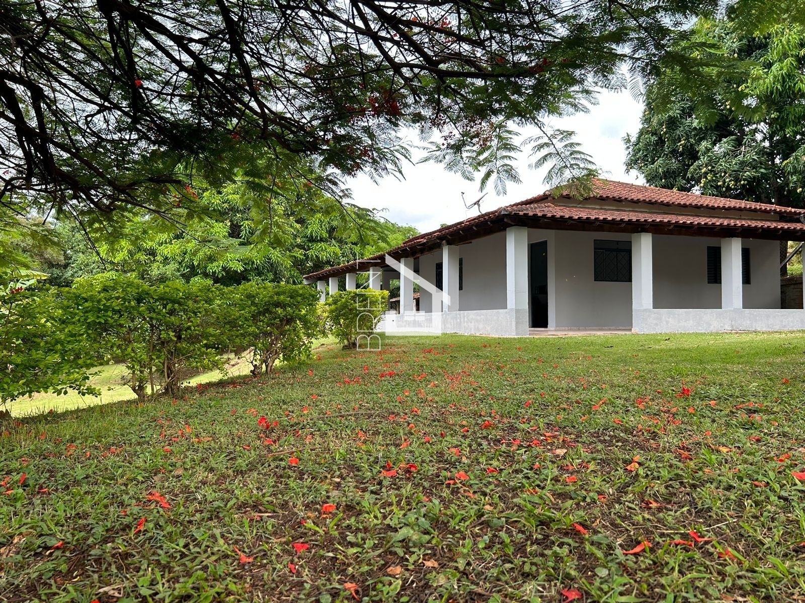 Fazenda à venda com 2 quartos, 2100m² - Foto 2