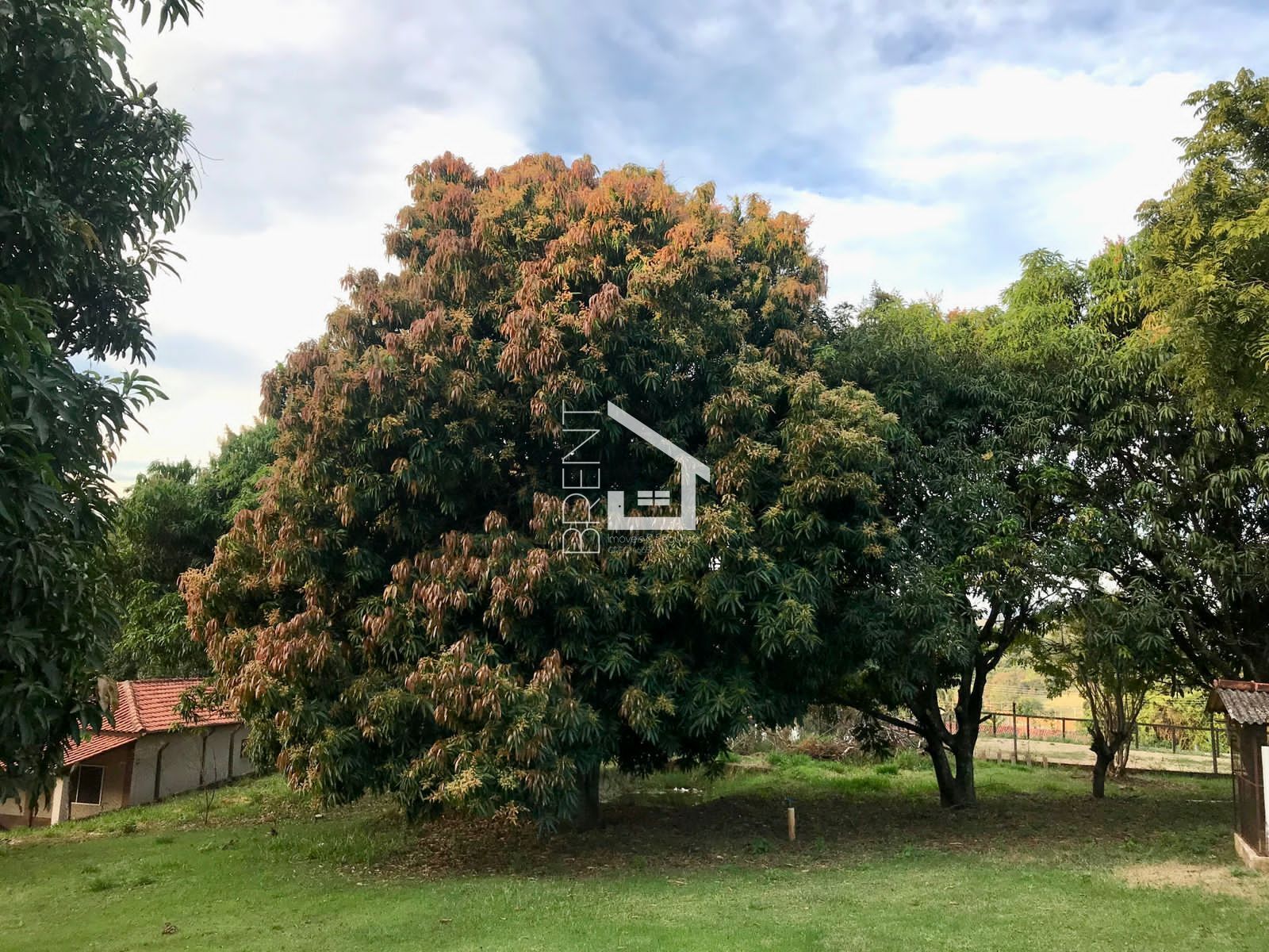 Fazenda à venda com 2 quartos, 2100m² - Foto 11