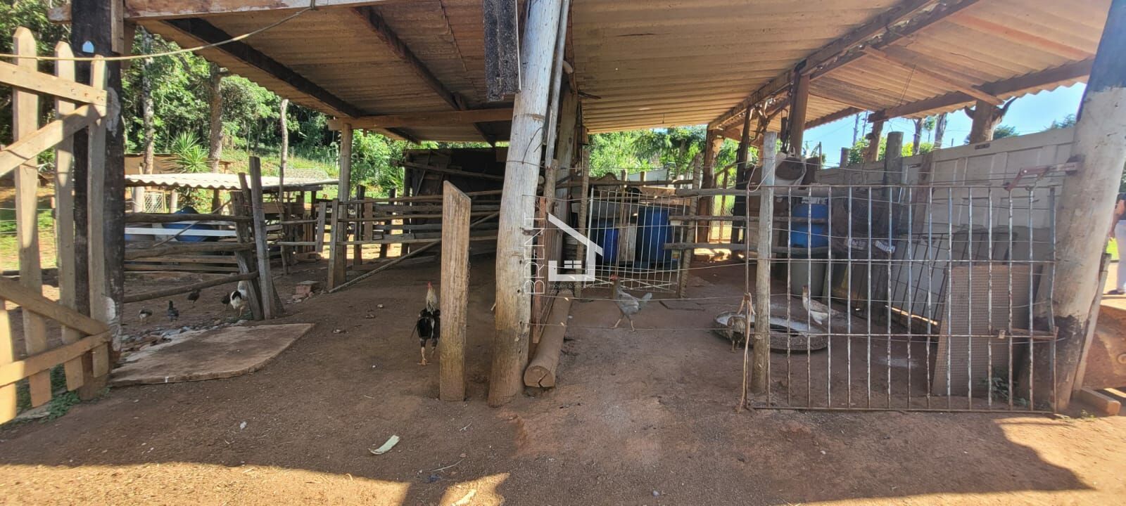 Fazenda à venda com 2 quartos, 31000m² - Foto 11