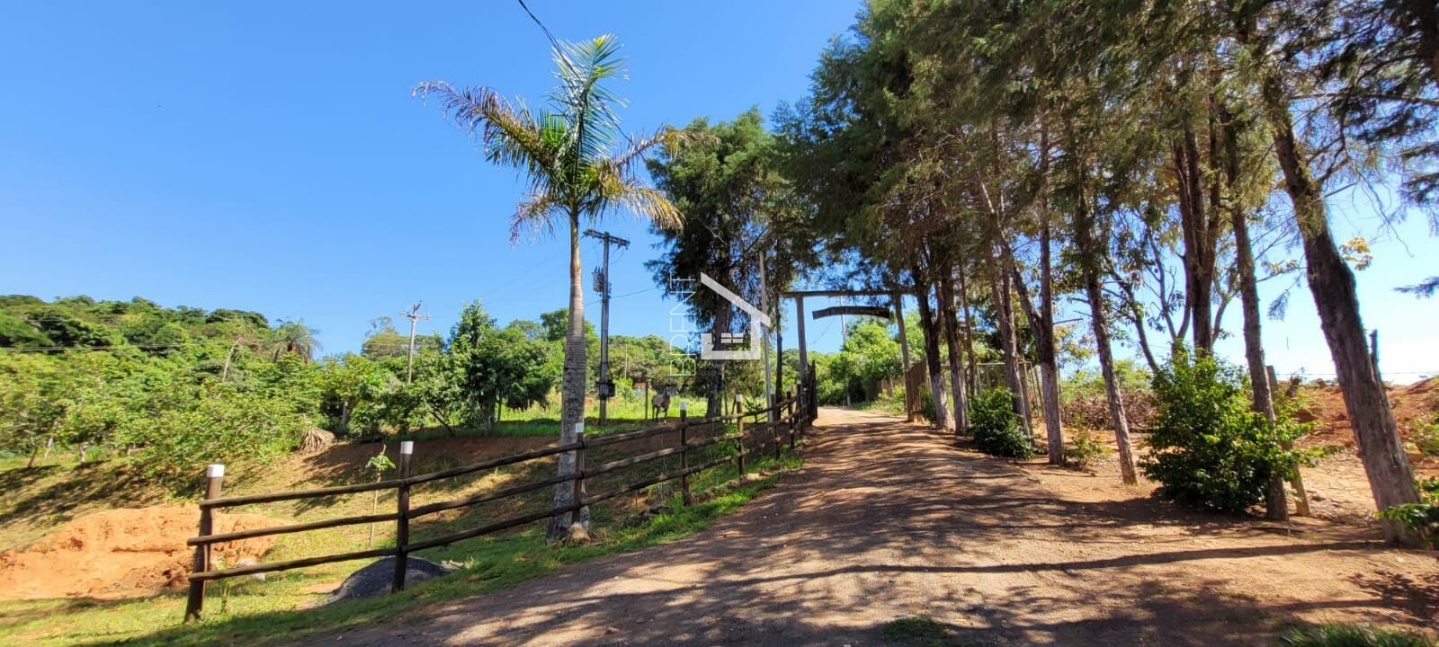 Fazenda à venda com 2 quartos, 31000m² - Foto 4