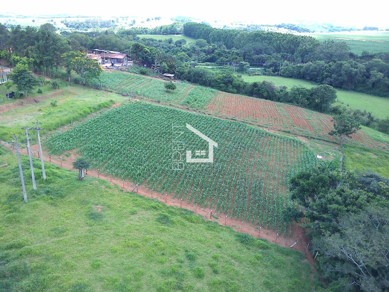 Fazenda à venda com 2 quartos, 31000m² - Foto 39