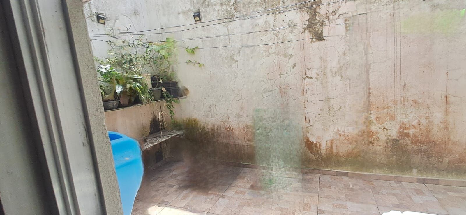 Casa, 3 quartos, 560 m² - Foto 36