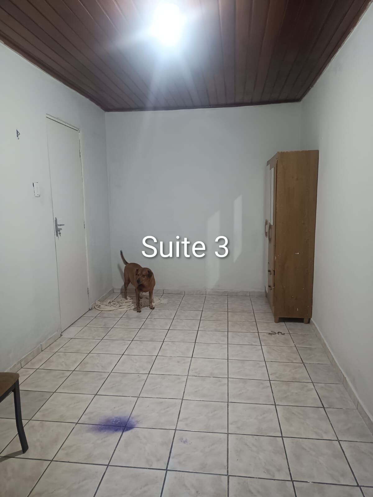 Casa, 3 quartos, 400 m² - Foto 2