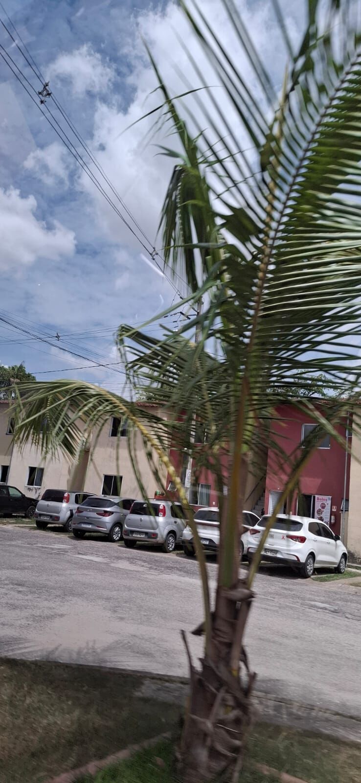 Apartamento à venda com 3 quartos, 57m² - Foto 5